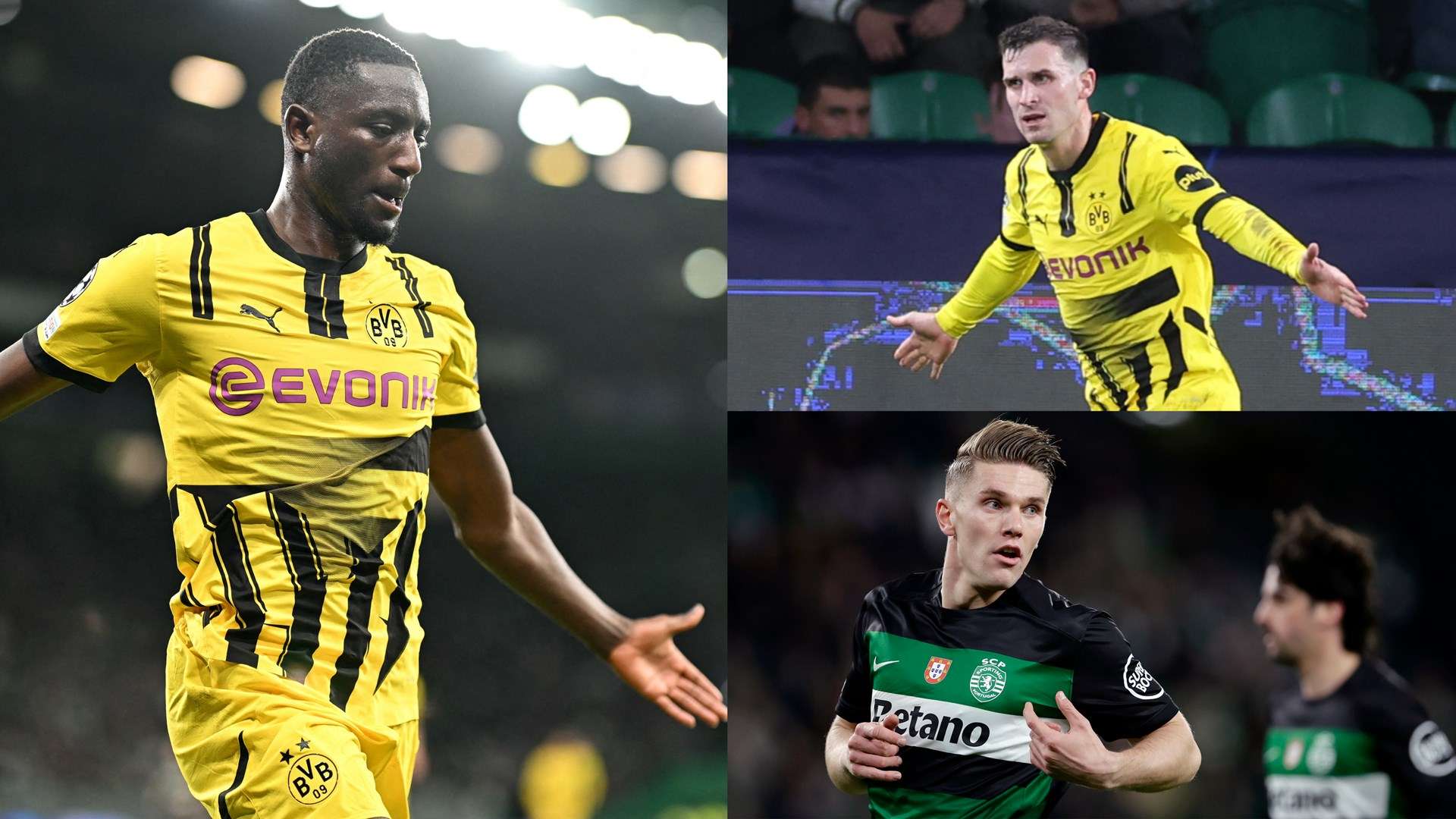 够在公平的 够在公平的