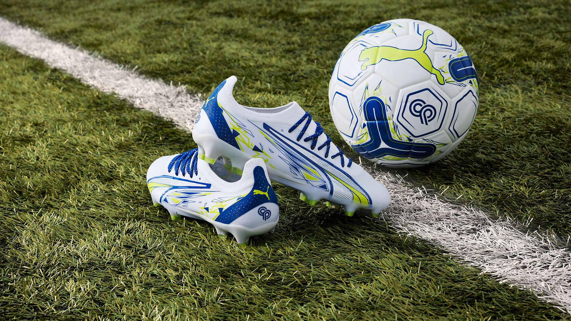 展现出多样 展现出多样